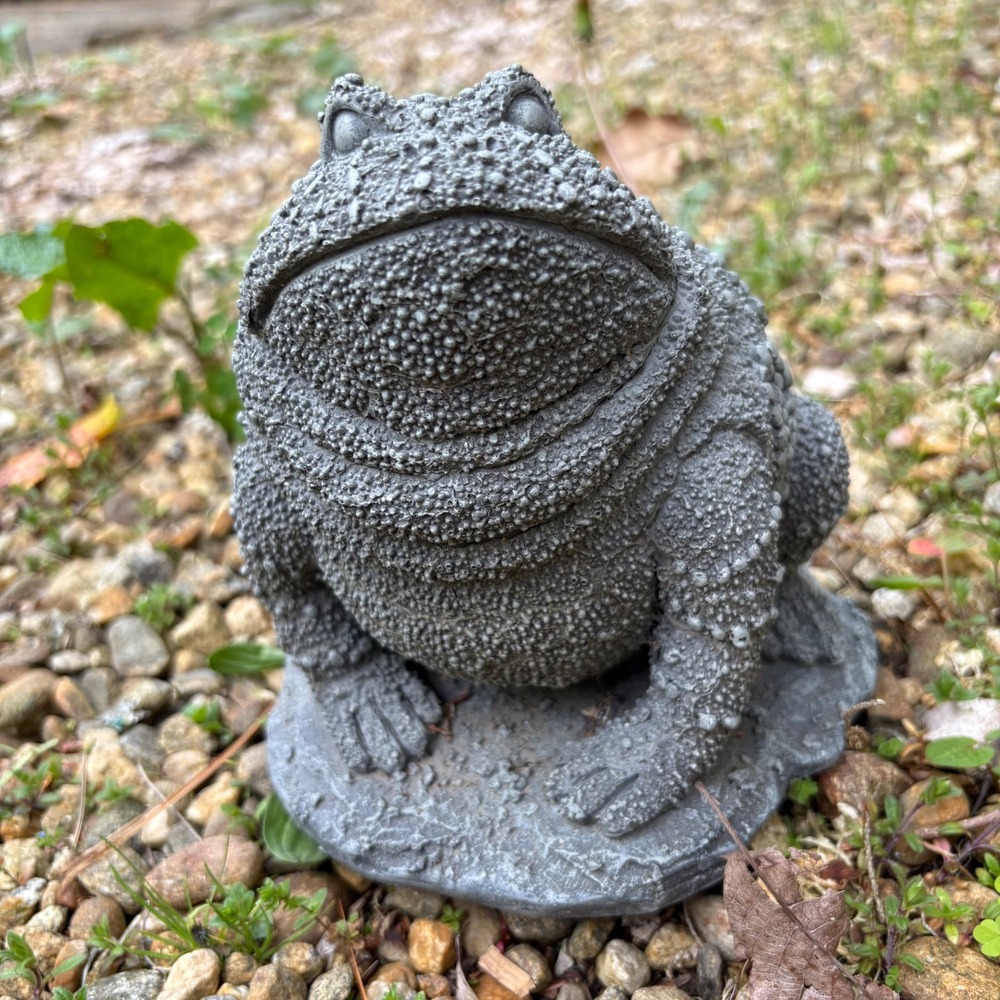 Nantucket Home Gray Textured Toad Frog Garden Statue Outdoor Decor Sculpture